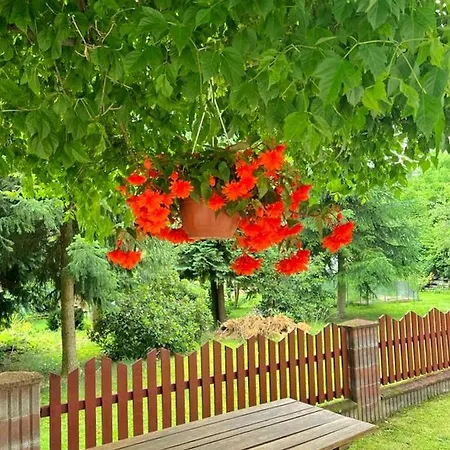 Golebi Puch - Przytulny Apartament Na Wylacznosc Kudowa Zdroj Exterior photo