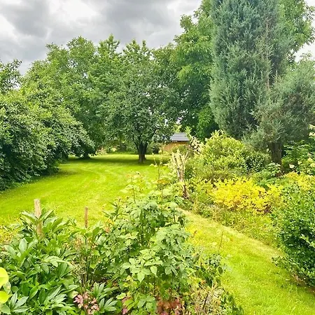 Golebi Puch - Przytulny Apartament Na Wylacznosc Kudowa Zdroj Exterior photo